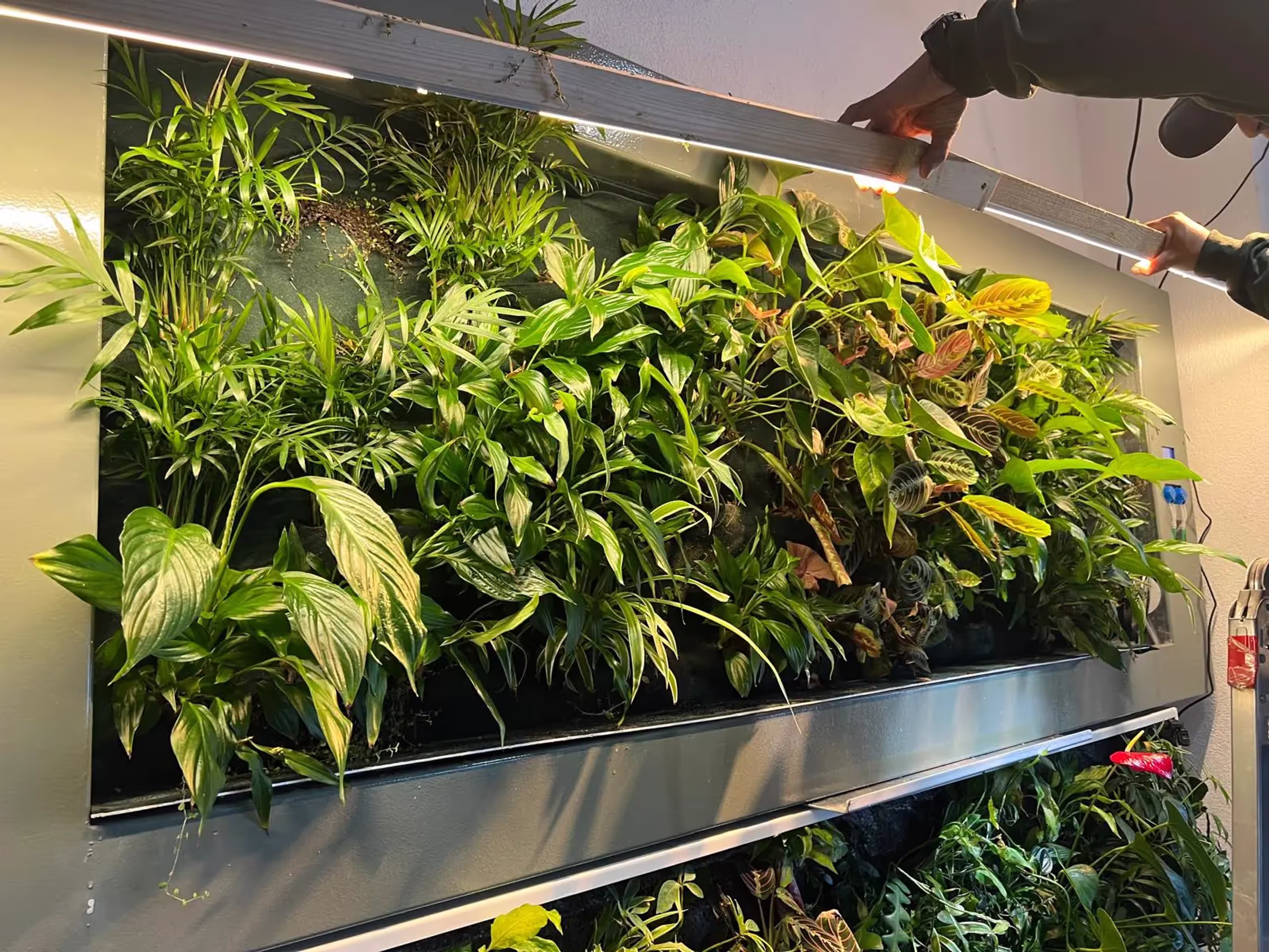 Giardino Verticale Tondo